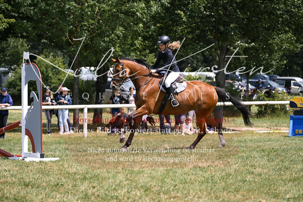 DSC_9285 | Pferde- und Turnierfotografie in Westsachsen. Pferdeportraits, Auftragszeichnungen und intuitive Kunst.
