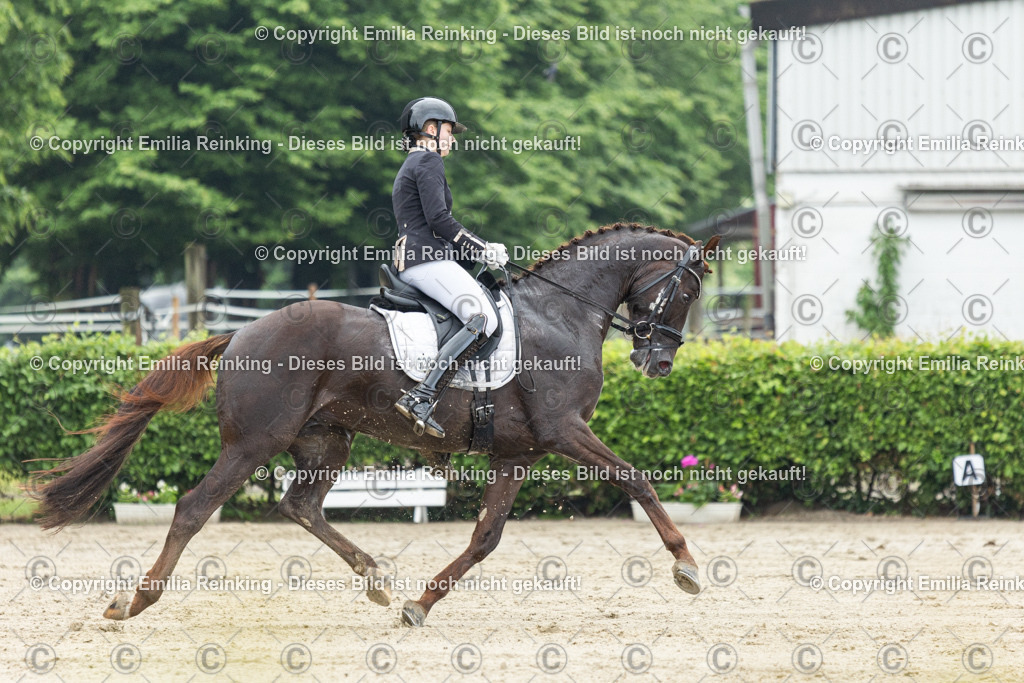 CL5A2941 | Emilia Reinking Fotografie - Realisiert mit Pictrs.com