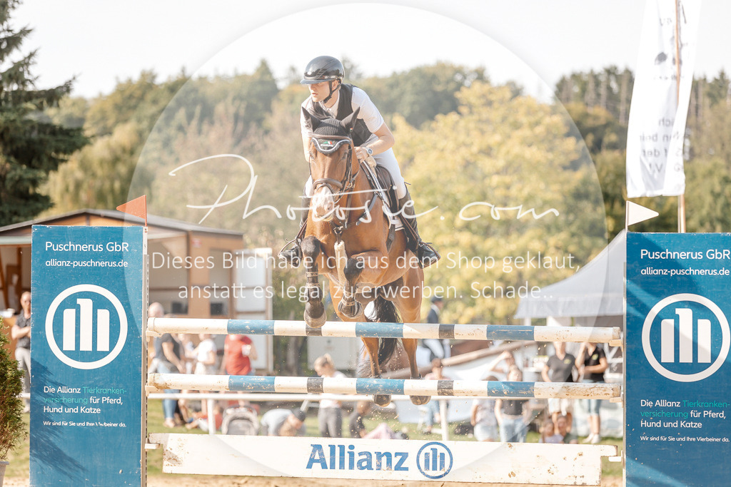 3I6A4902 | Stimmungsvolle Portraits und Reitsportfotografie im Ruhrgebiet und im Münsterland.

Pferdefotografie, Hundefotografie, Tierfotografie, Reportagen, Portraits von Tier und Mensch, Turnierfotografie in Bochum, Recklinghausen, Marl, Haltern am See, Dülmen.. - Realisiert mit Pictrs.com