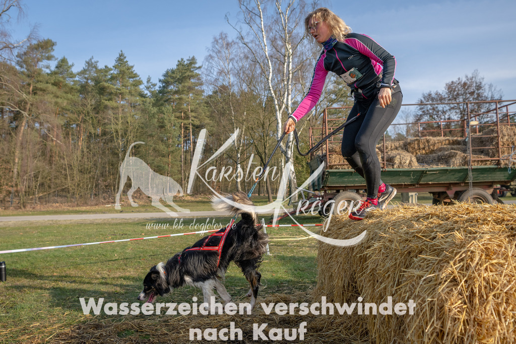 _ZZ91485 | kk-dogfotos