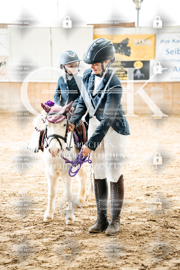 CK702965 | Turnierfotografie Pferdefotografie Trier Rheinland-Pfalz Pferdesport Reitsport Tierfotografie Sportfotografie Pferdevideo Pferdevideografie Equestrianvideography equestrianphotography  - Realized with Pictrs.com