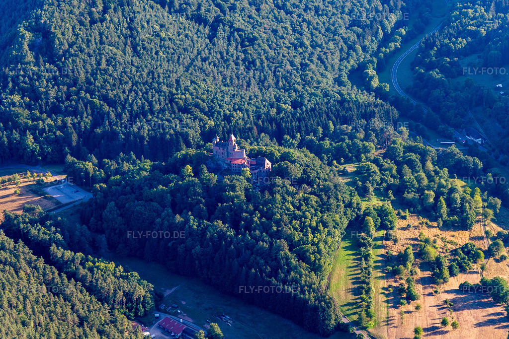 Luftbild: Burg Berwartstein in Erlenbach bei Dahn im Bundesland Rheinland-Pfalz in Deutschland. Foto: IMG_133630.jpg vom 18.07.2022 durch Werner Riehm/FLY-FOTO.deBURGBERWARTSTEIN.DE