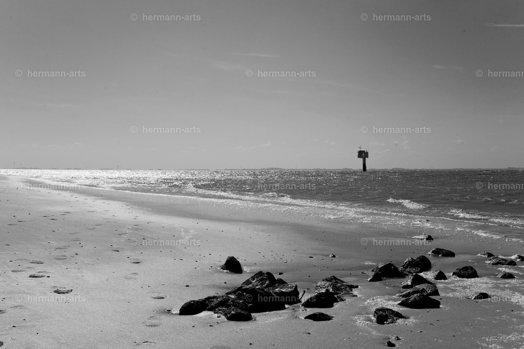 Hermann-Arts_Seaside_250 | Photo Foto Kunst Art schwarzweiss Bilder Rheine Münster Berlin Blumen 