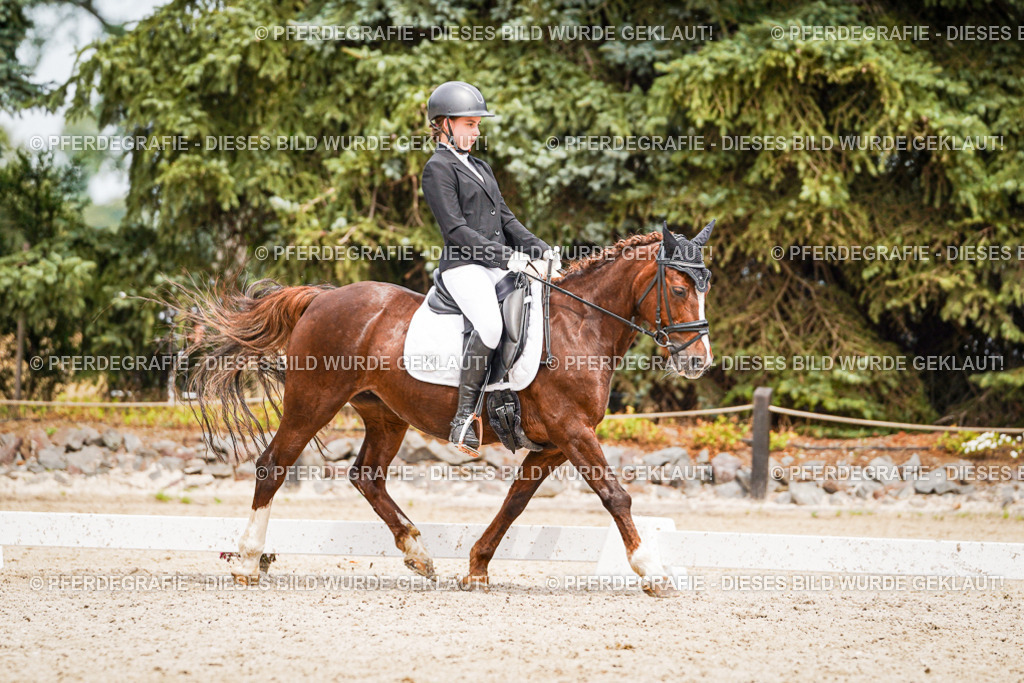 DSC04418 | Pferdegrafie