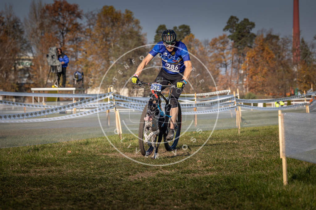 CaniXpix_0L8A6212 | Hundefotografie, Tierfotograf, Pfotenfotografie, Fotoshooting Hund, Hunde Portrait, Hundesport, Hundeportraits, Heideshooting, Hunde, Sportfotograf, Hundefotograf, Turnierhundsport, THS,  - Realisiert mit Pictrs.com