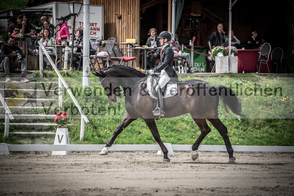 DSC_2270 | equestrian-live-com