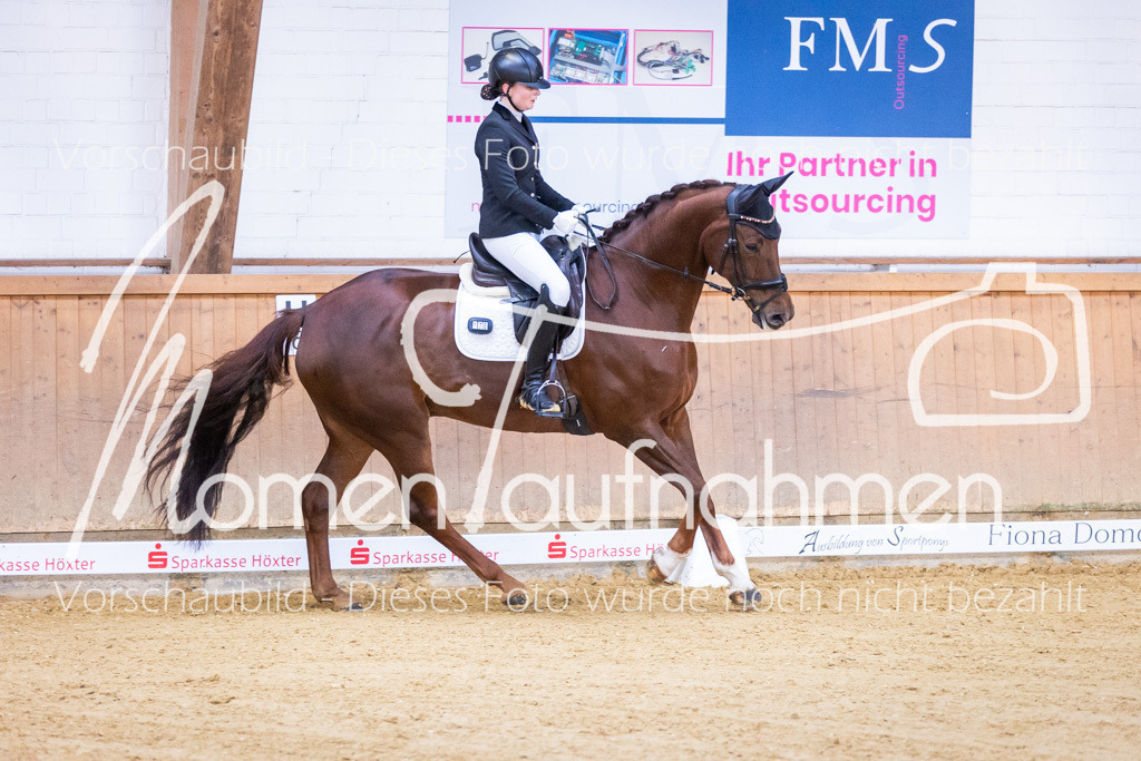 Sth-A-Dre-1St-057 | MomenTaufnahmen Pferdesportfotos