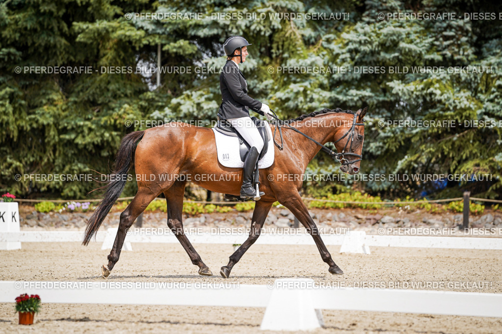 DSC02009 | Pferdegrafie