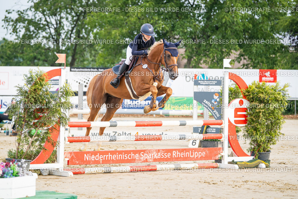 DSC07941 | Pferdegrafie