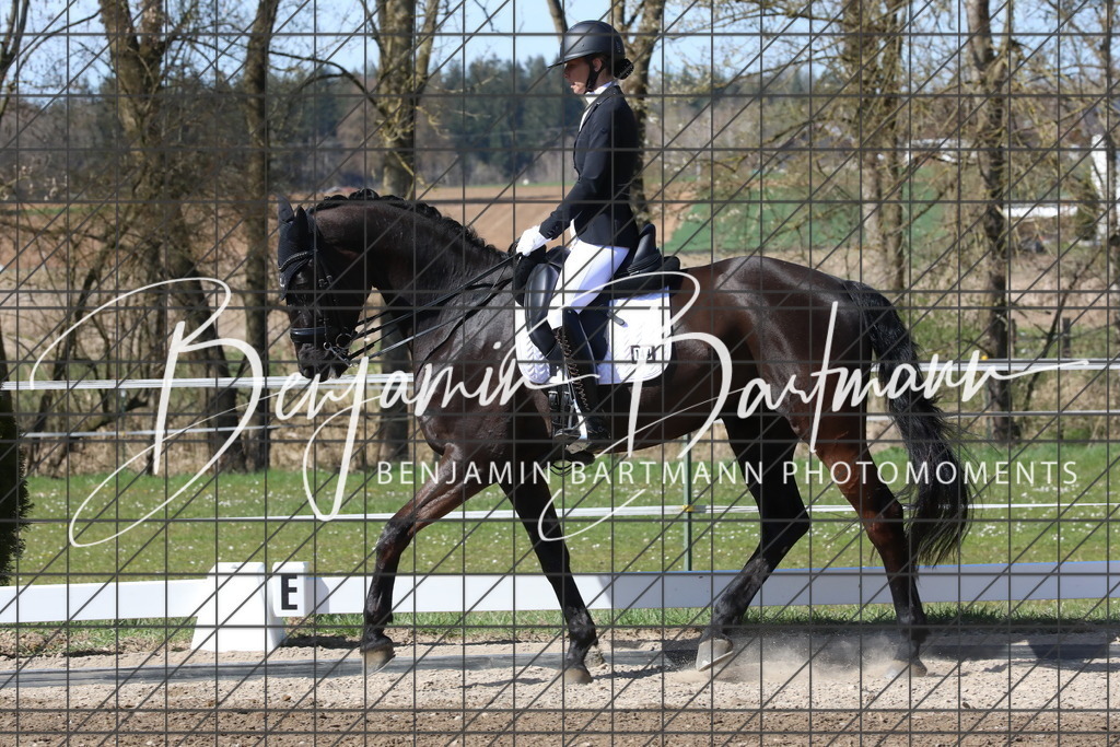 AZ2A4720 | Benjamin Bartmann Photomoments