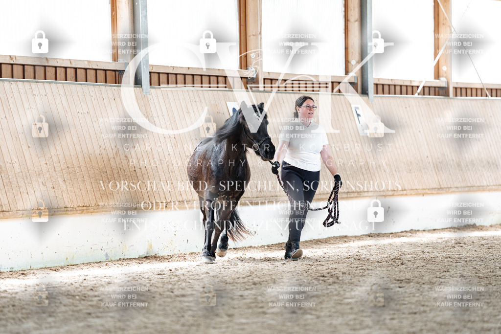 CK907486 | Turnierfotografie Pferdefotografie Trier Rheinland-Pfalz Pferdesport Reitsport Tierfotografie Sportfotografie Pferdevideo Pferdevideografie Equestrianvideography equestrianphotography  - Realisiert mit Pictrs.com
