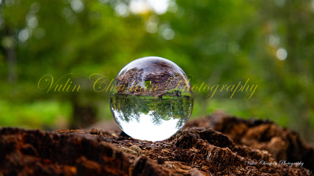 Bild 11 (1 von 1) | Christian Vulin  - Realisiert mit Pictrs.com