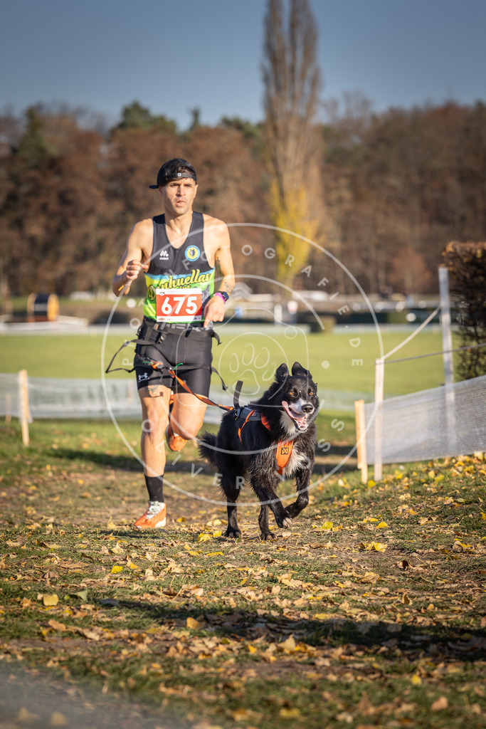 CaniXpix_DV3A0966 | Hundefotografie, Tierfotograf, Pfotenfotografie, Fotoshooting Hund, Hunde Portrait, Hundesport, Hundeportraits, Heideshooting, Hunde, Sportfotograf, Hundefotograf, Turnierhundsport, THS,  - Realisiert mit Pictrs.com