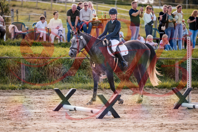2026_10_03_Siefer-Hof_144937_Z81_27854862 | Professionelle Reitsport-, Turnier- und Eventfotografie von Robert Broda. Galerien mit ausgewählten und bearbeiteten Bildern direkt online ansehen und bestellen.