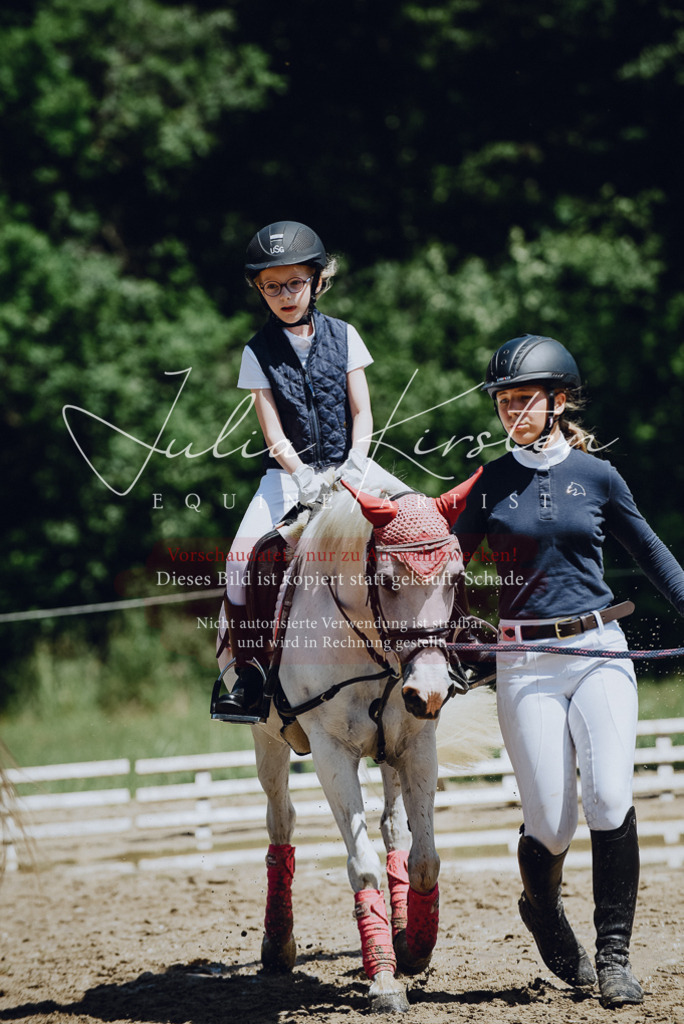 DSC_2590 | Pferde- und Turnierfotografie in Westsachsen. Pferdeportraits, Auftragszeichnungen und intuitive Kunst.