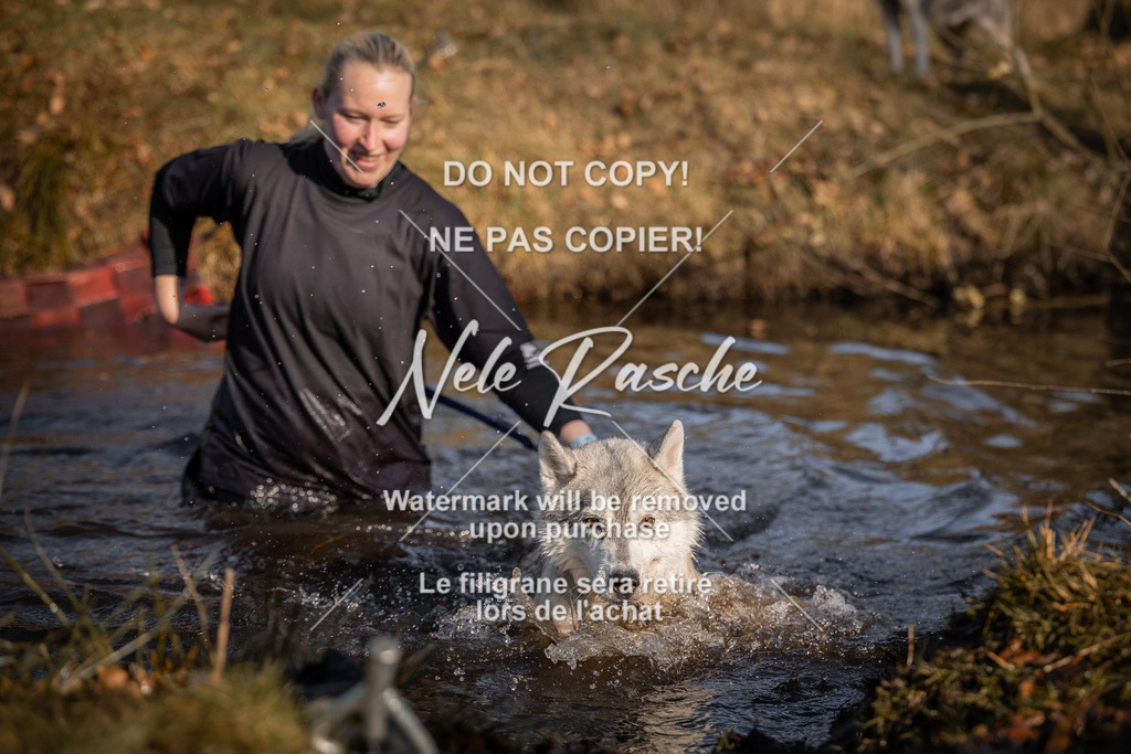 nelerasche_FS0900-1000_06 | nelerasche