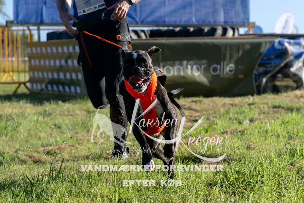 0817_ZZ93114 | kk-dogfotos