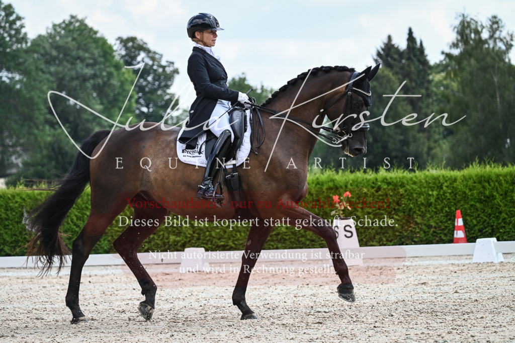 DSC_2442 | Pferde- und Turnierfotografie in Westsachsen. Pferdeportraits, Auftragszeichnungen und intuitive Kunst.