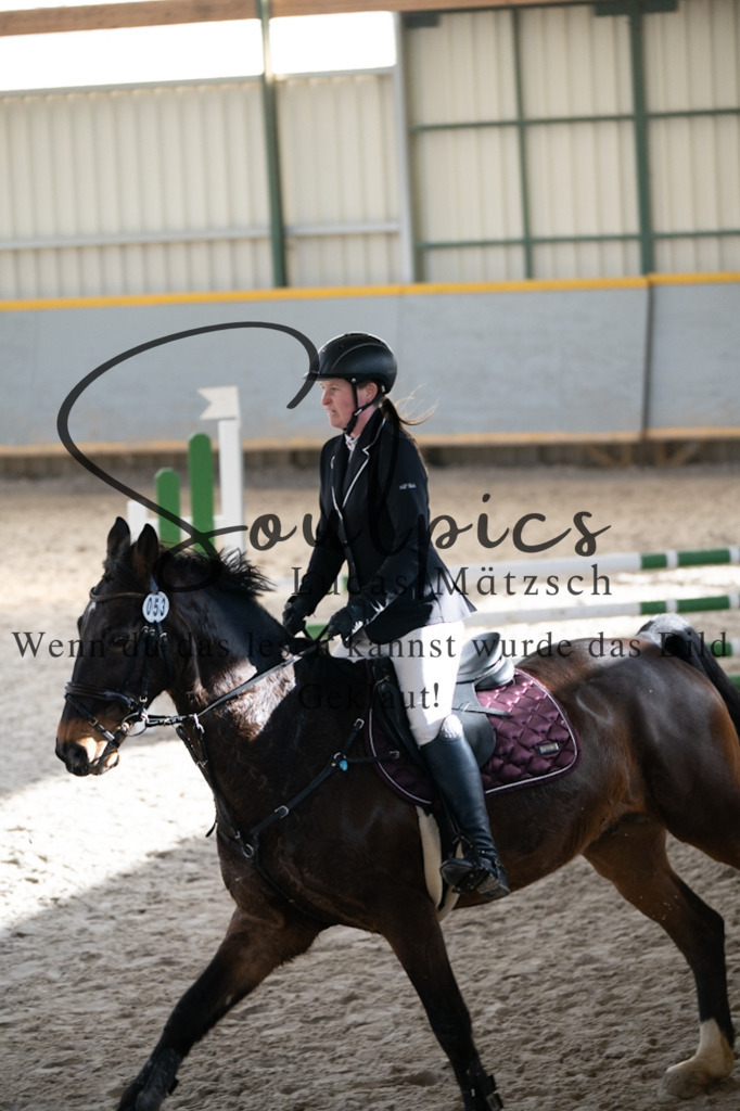 A7V02040 | Pferdefotograf