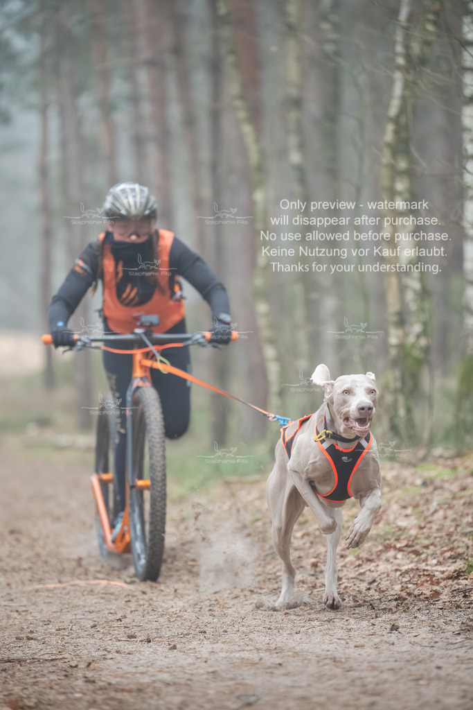Scooter1-128 | stephaniefillaphotographie - Realisiert mit Pictrs.com