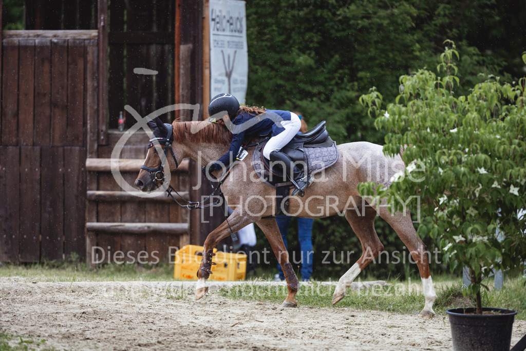240519_Kalthof_Teamspringen-321 | Deine schönsten Turniermomente als professionelle Fotos! Entdecke hochwertige Pferdesport-Fotografie im Online-Shop. Jetzt Fotos finden & bestellen!