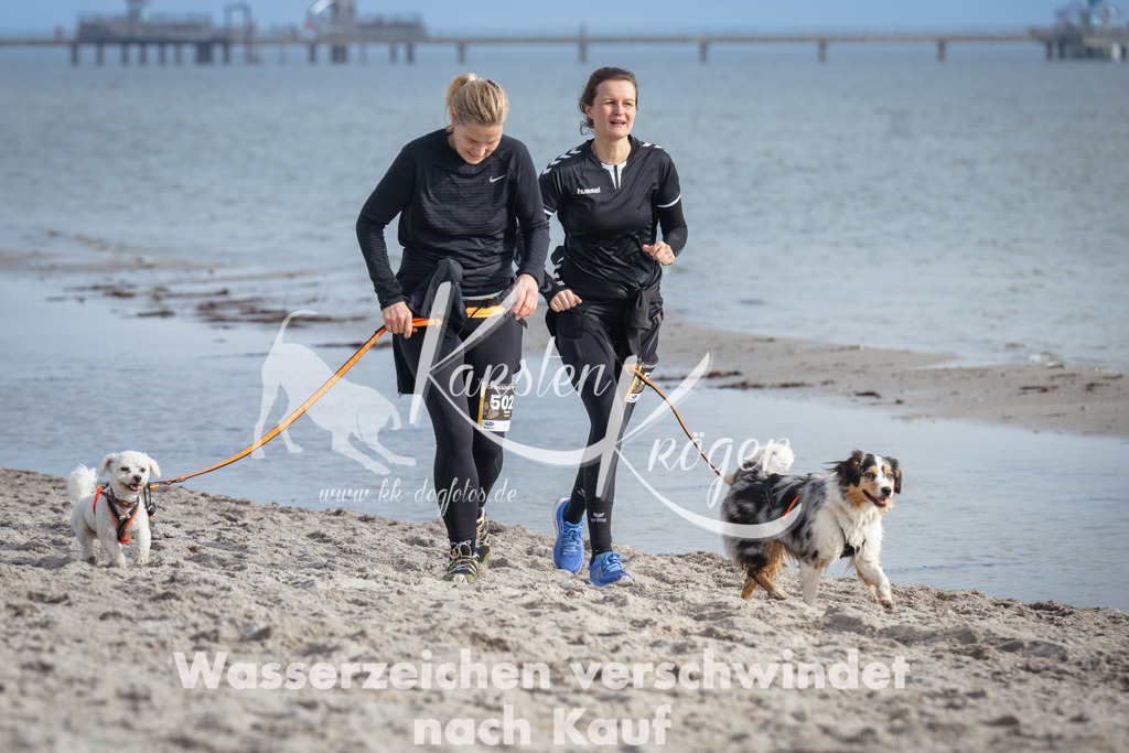 1237_ZZ97824 | kk-dogfotos