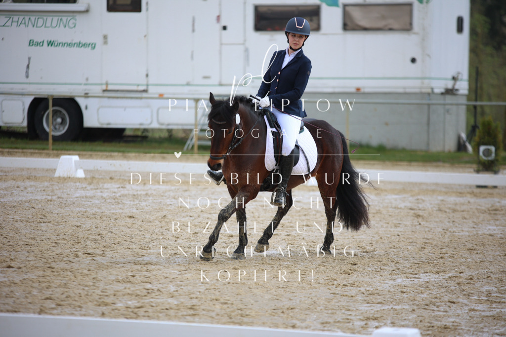 IMGT3799 | pl-fotografie