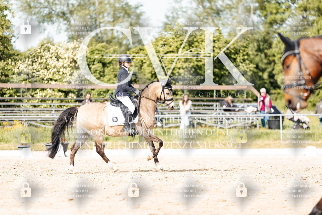 CK900409 | Turnierfotografie Pferdefotografie Trier Rheinland-Pfalz Pferdesport Reitsport Tierfotografie Sportfotografie Pferdevideo Pferdevideografie Equestrianvideography equestrianphotography  - Realisiert mit Pictrs.com