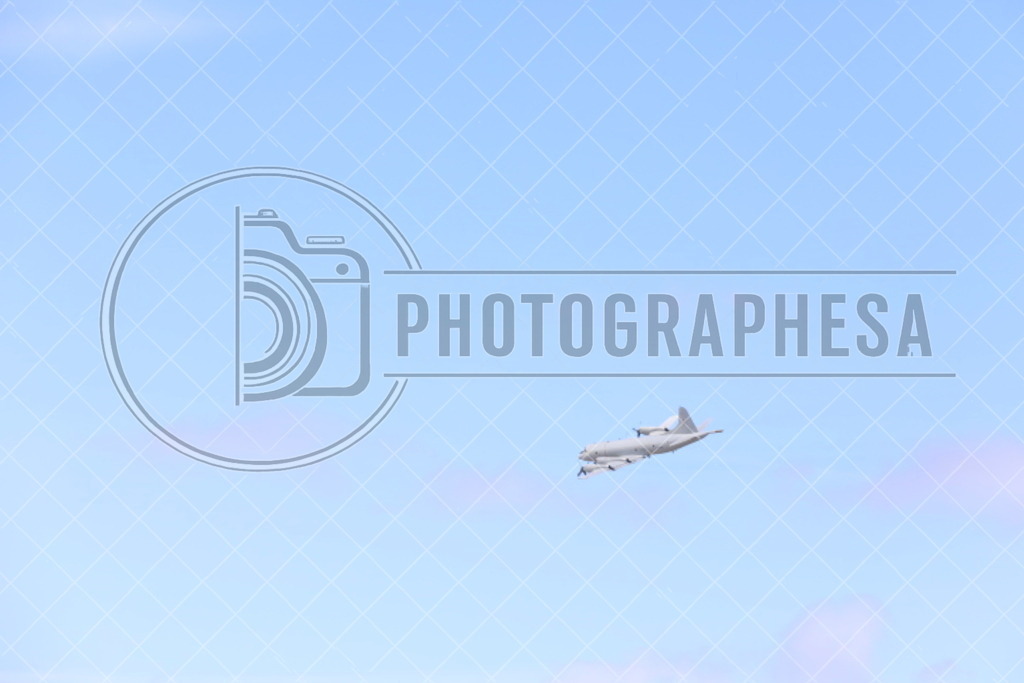 IMG_8820 | photographesa-joergens - Realisiert mit Pictrs.com