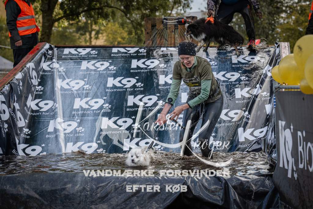1538_ZZ90252 | kk-dogfotos