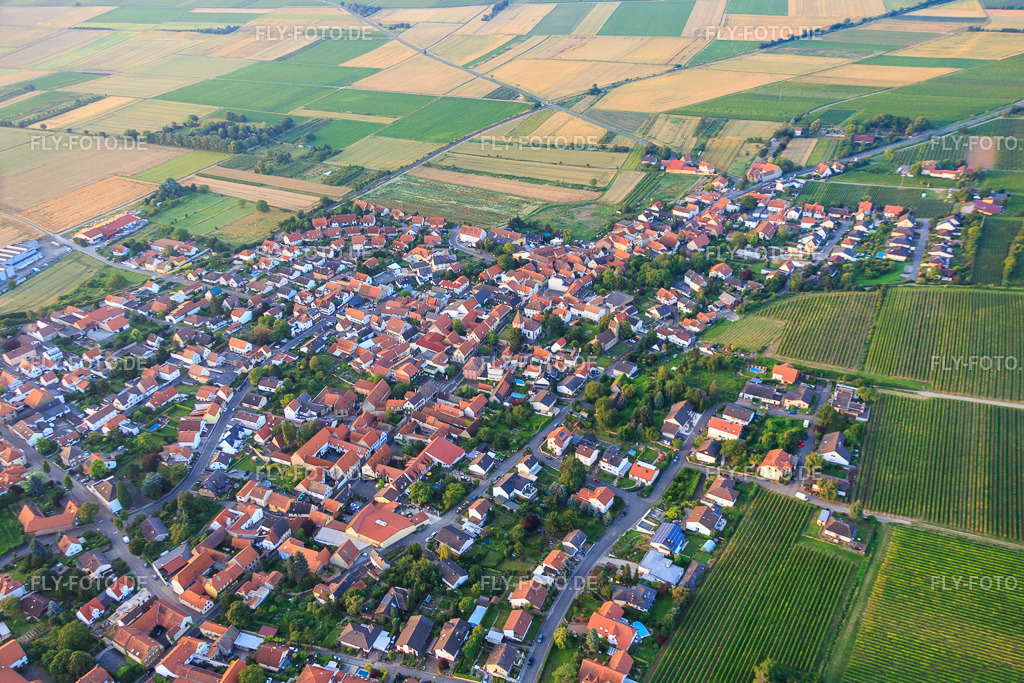 Weinstr | Luftbild: Weinstr im Ortsteil Großbockenheim in Bockenheim im Bundesland Rheinland-Pfalz in Deutschland. Foto: IMG_091196.jpg vom 07.07.2016 durch Werner Riehm/FLY-FOTO.de - Realisiert mit Pictrs.com