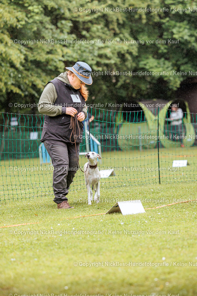 RO-Blumenthal-2026-Nickbest-Hundefotografie-0133 | Dein Hund! Dein Moment! Deine Erinnerungen! Hundefotografie in Bremen Blumenthal. Ich fange die besonderen Momente deines Vierbeiners ein – ob Indoor mit Blitzanlage oder in der freien Natur. Sicher dir dein Moment und dein Termin für eure Erinnerungen.