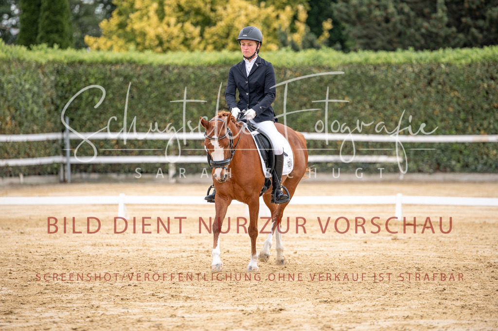 Schugtsche-Aluta25-40.DressurprfA_-390 | Schugtsche Fotografie - Realisiert mit Pictrs.com