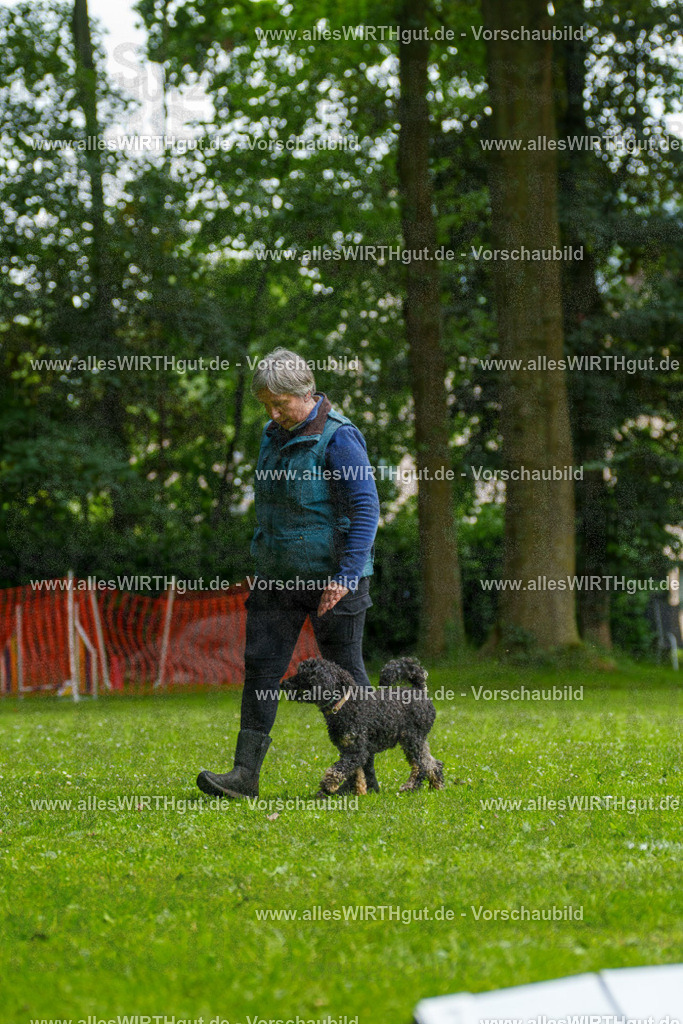 @allesWIRTHgut_Tierfotografie - www.allesWIRTHgut.de - 092721-7R507126 | Professionelle Tierfotografie in Mönchengladbach von Daniel Wirth (allesWIRTHgut). Liebevolle & natürliche Bilder von Hunden & Katzen für unvergessliche Erinnerungen.