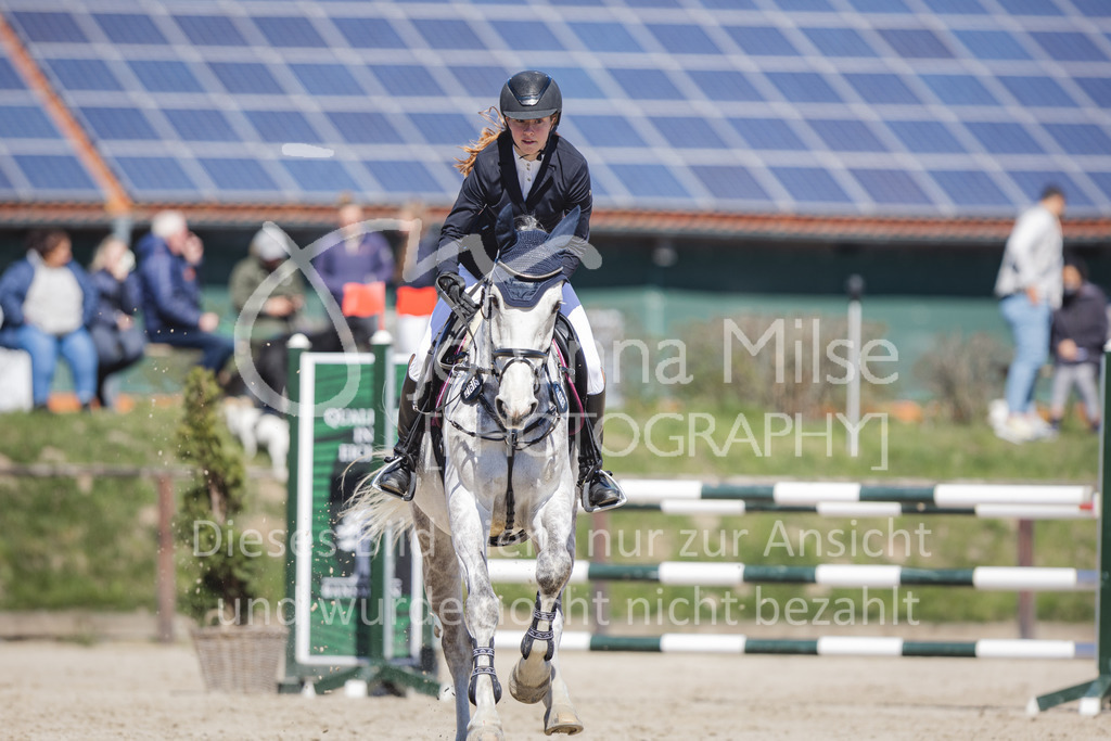 220416_3_A-Springen2-446 | Frühlingsfest der Pferde
Herford
16.April 2022
03/2 Sprigprüfung mit steigenden Anforderungen Kl. A** geschlossen 44-481 RLP