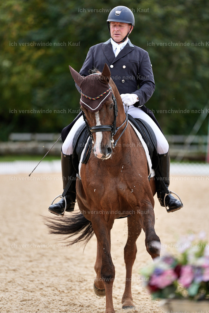 11-092-Dressur S___-Marixx-1594 | working equitationturnier fotograf videograf stoibphotography marixx film working equitation deutschland reitsport turnierfotografie eventfotografie equestrian events