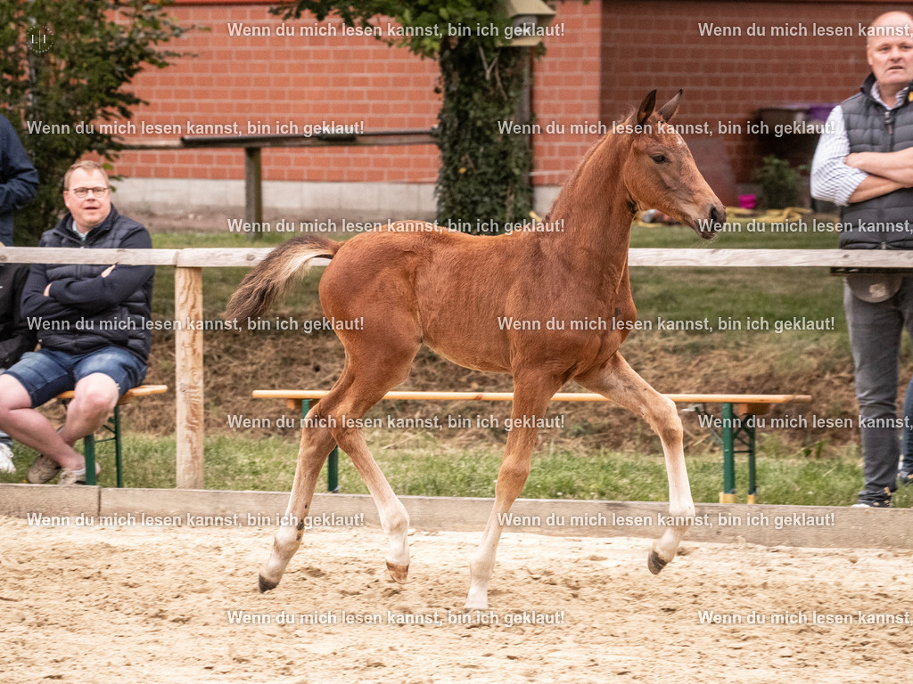 A10I6093 | photographylinaismer - Realisiert mit Pictrs.com