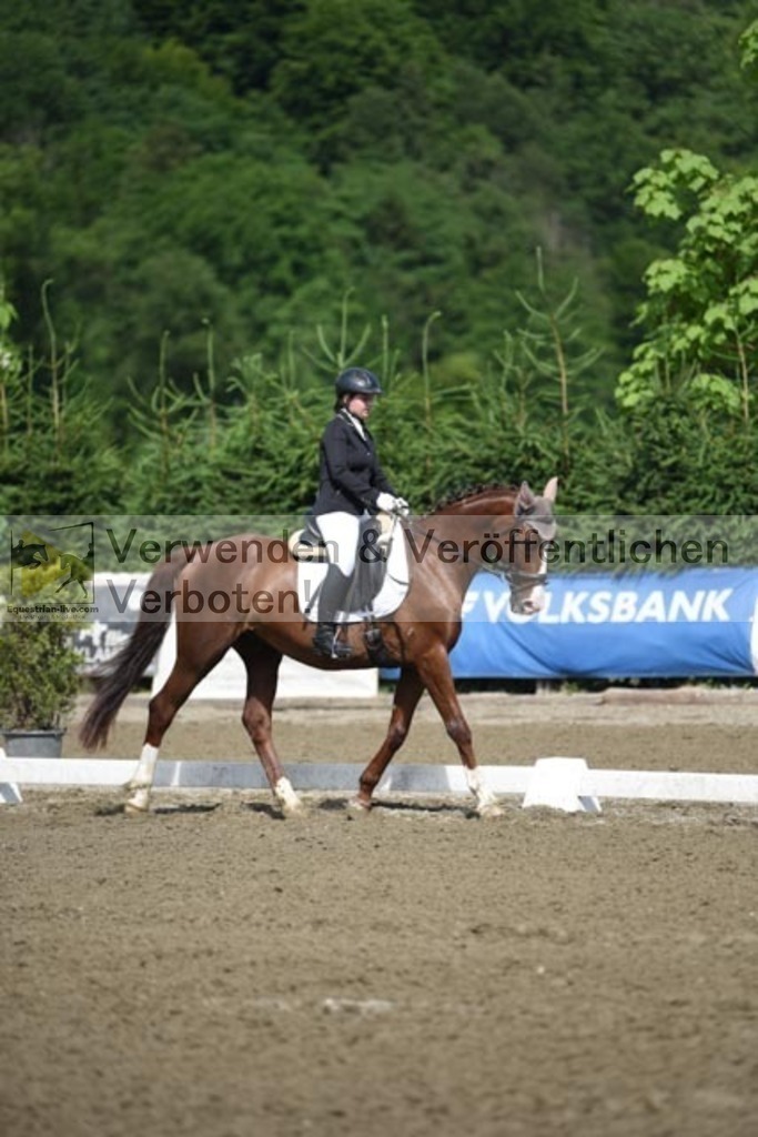 DSC_9699 | equestrian-live-com