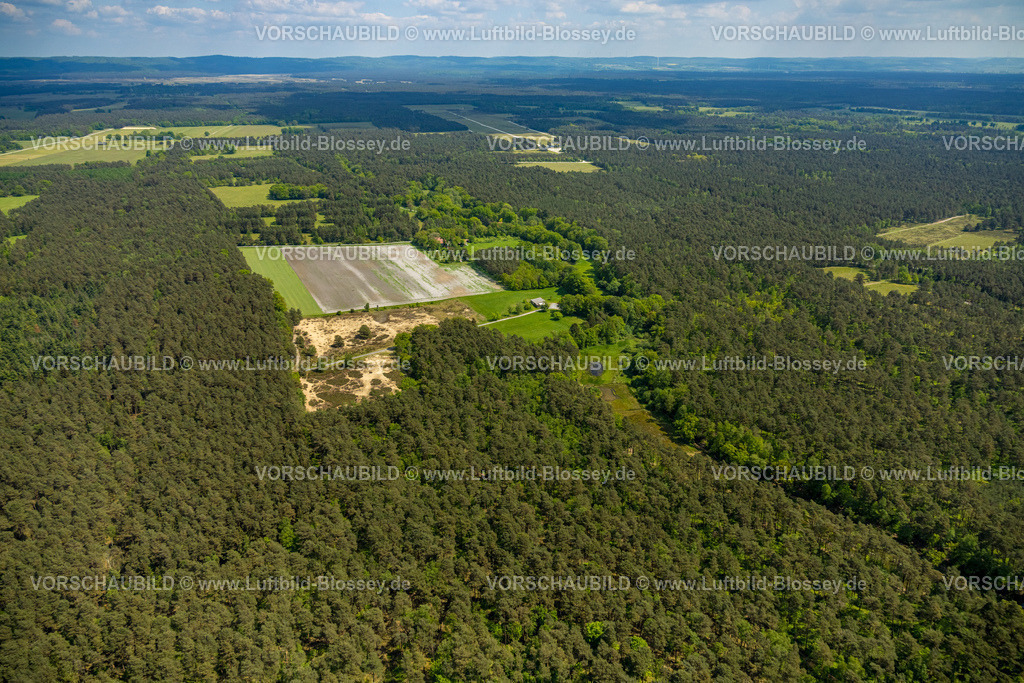 SchlossHolteStukenbrock240505144Moosheide_Heidelandschaft | Luftbild, Naturschutzgebiet Moosheide in der Senne, Heidelandschaft Waldgebiet am Emser Kirchweg, Ems Infozentrum, hinten links Senner Pferdeweiden, Wandergebiet, Fernsicht, Stukenbrock-Senne, Schloß Holte-Stukenbrock, Ostwestfalen, Nordrhein-Westfalen, Deutschland
