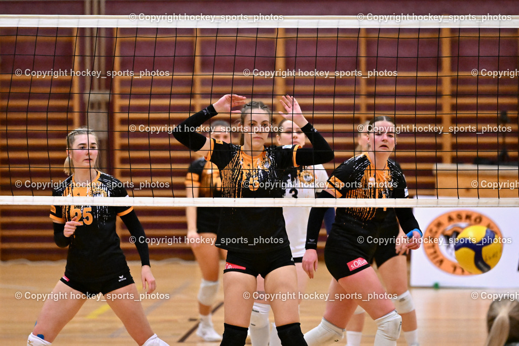 ASKÖ Volley Eagles Villach vs. VC Hausmannstätten | #25 SCHULER Chiara ASKÖ Volley Eagles Villach, #5 JANESCHITZ Johanna ASKÖ Volley Eagles Villach, #4 KOOPMAN Marjon ASKÖ Volley Eagles Villach, ASKÖ Volley Eagles Villach vs. VC Hausmannstätten, ASKÖ Volley Eagles Villach vs. VC Hausmannstätten am 01.02.2025 in Villach (Ballspielhalle Lind), Austria, (Photo by Bernd Stefan)