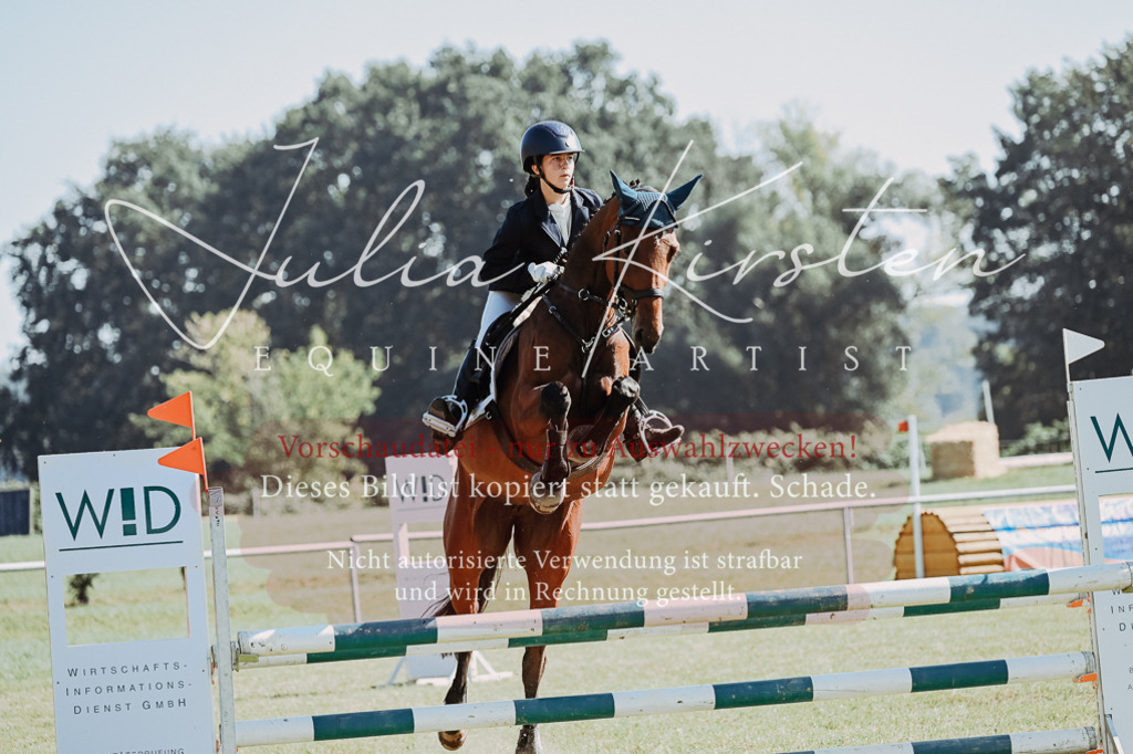 DSC_5538 | Pferde- und Turnierfotografie in Westsachsen. Pferdeportraits, Auftragszeichnungen und intuitive Kunst.