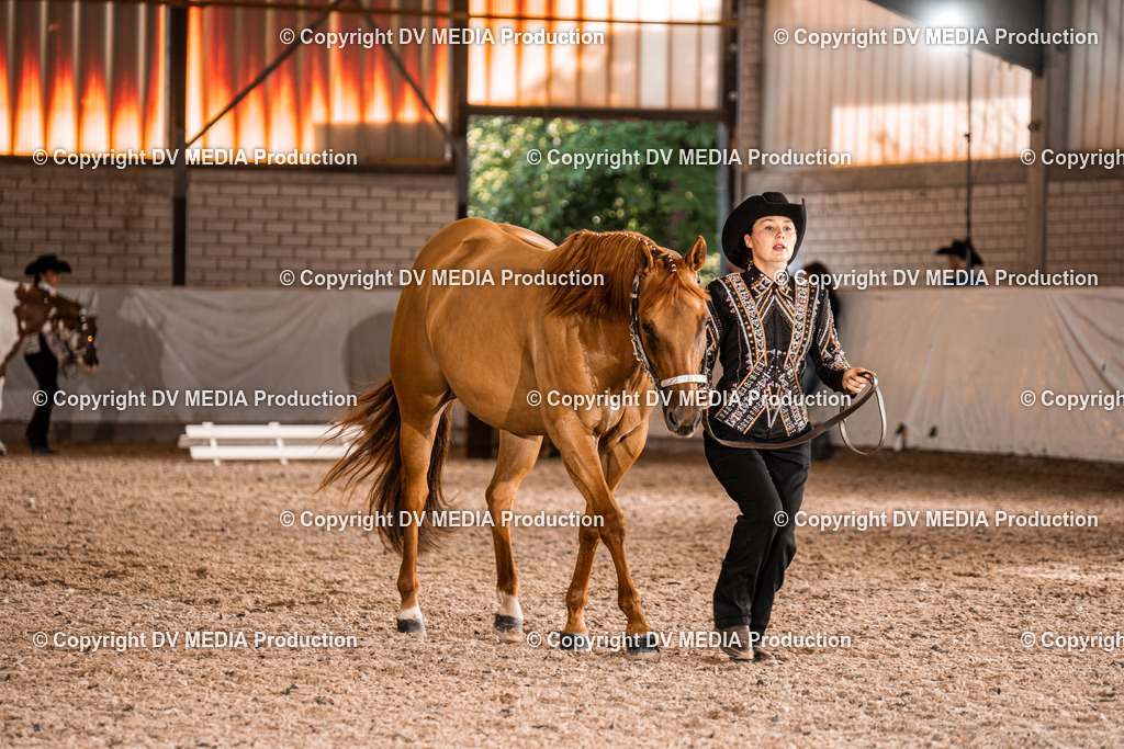 ZH100142 | dv-media-shop - Realisiert mit Pictrs.com