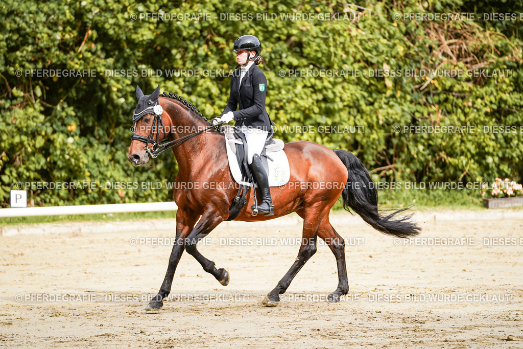 DSC02055 | Pferdegrafie