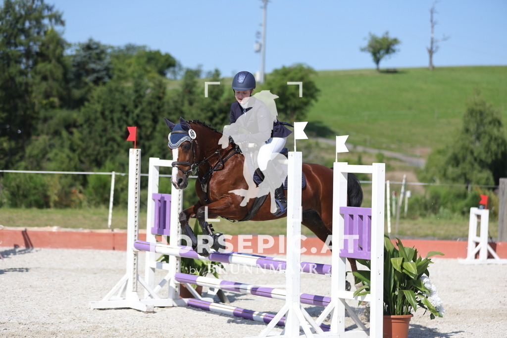 0P6A7551 | Willkommen bei Brunnmayr - Design & Fotografie – Ihrem Spezialisten für Reitturniere und Pferdeveranstaltungen in Oberösterreich, Salzburg und Bayern! Seit über 17 Jahren sind wir leidenschaftlich dabei.