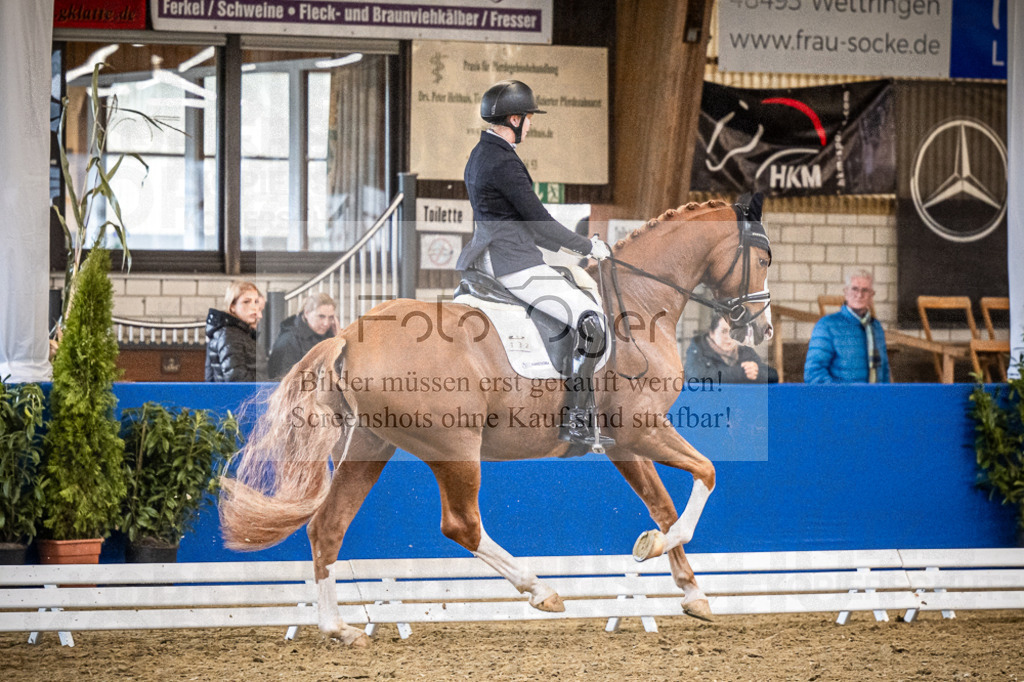 DOS_0605 | Entdecke hochwertige Reitturnierfotos von Foto Oger. Professionell, emotional und authentisch – jetzt Lieblingsmomente im Shop bestellen.Deutschlandweite Turnierfotografie. - Realisiert mit Pictrs.com