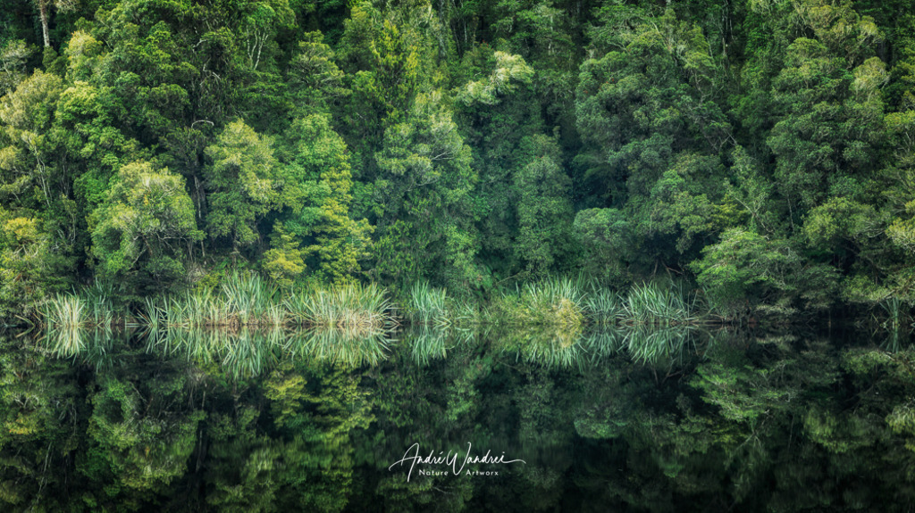 Grüne Spiegelung | Andre Wandrei - Nature Artworx - Realisiert mit Pictrs.com