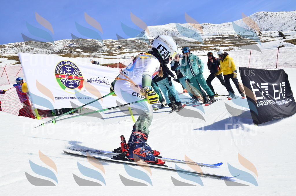 _ELE0250 | holidayphoto