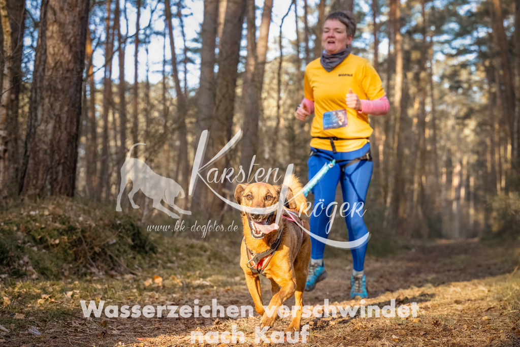 0817_ZZ90326-Bearbeitet | kk-dogfotos