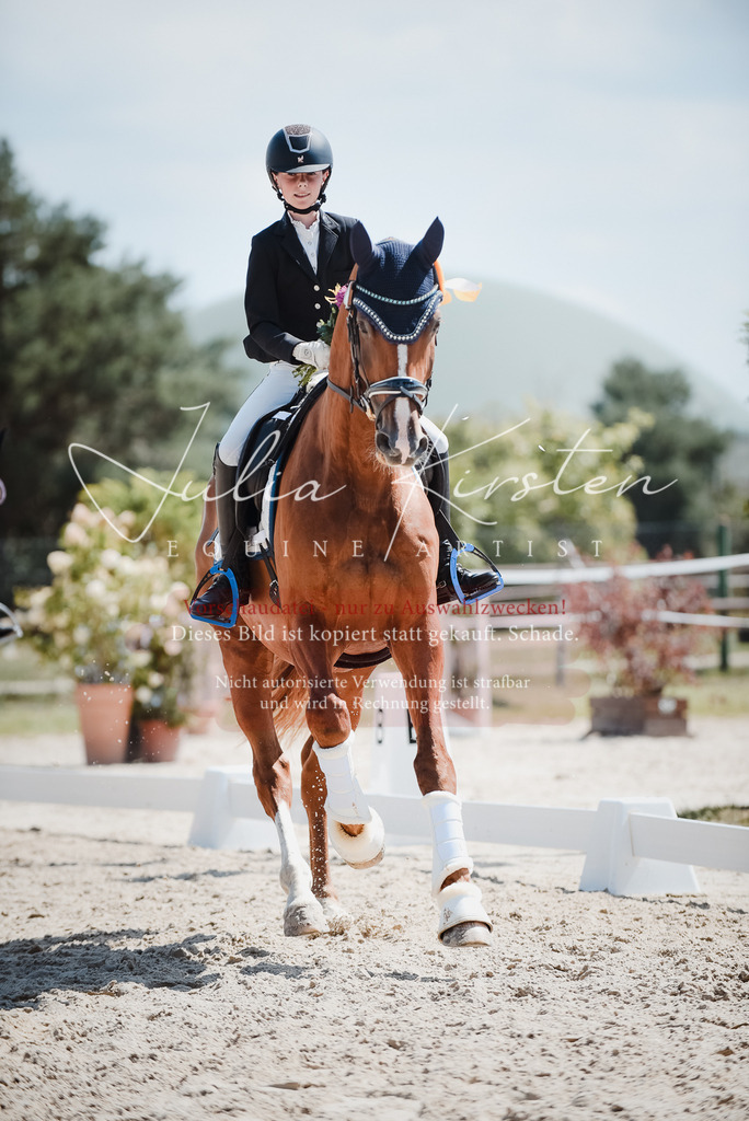 DSC_8797 | Pferde- und Turnierfotografie in Westsachsen. Pferdeportraits, Auftragszeichnungen und intuitive Kunst.