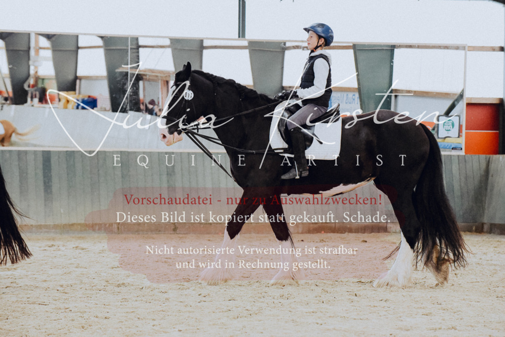 DSC_7202 | Pferde- und Turnierfotografie in Westsachsen. Pferdeportraits, Auftragszeichnungen und intuitive Kunst.